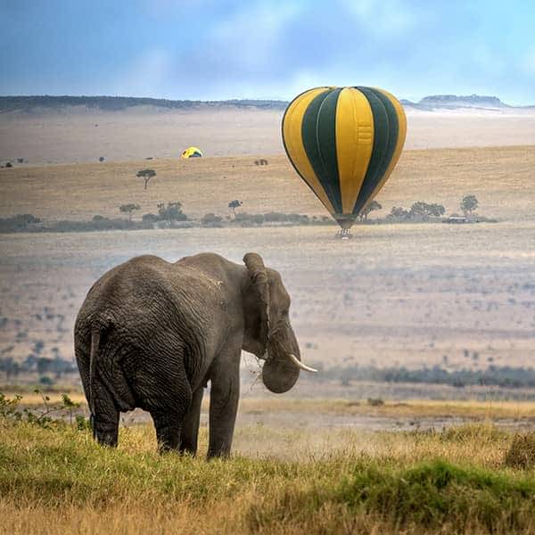 Learn about hot air ballooning in Masai Mara