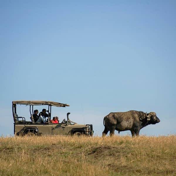 Masai Mara safari information